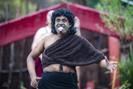 New Zealand 2025 (2 group) (10/84)